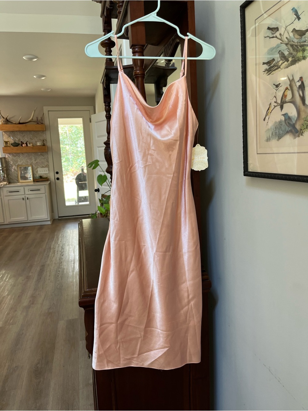 Alter'd State Satin Cowl Slip Dress - Blush Pink NWT